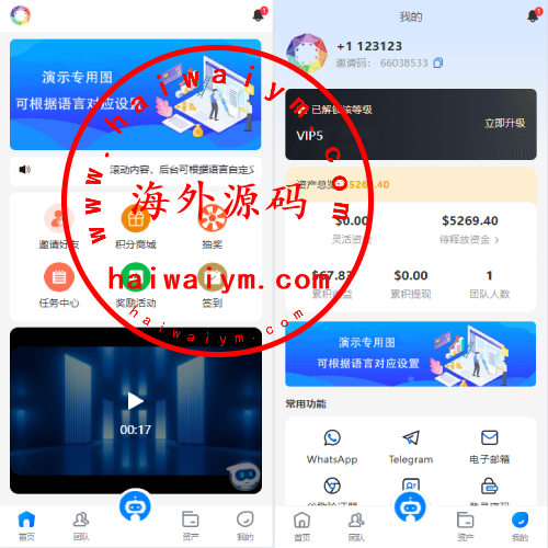 海外虚拟币量化交易系统/多语言量化/USDT自动充值